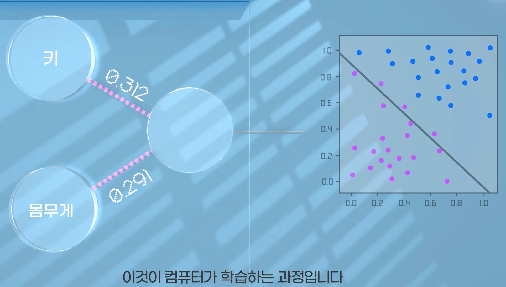 무작위 가중치에서 시작해 데이터를 보며 결정 경계를 찾아가는 학습 과정
