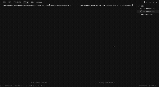 ansible-06-remove-user-result