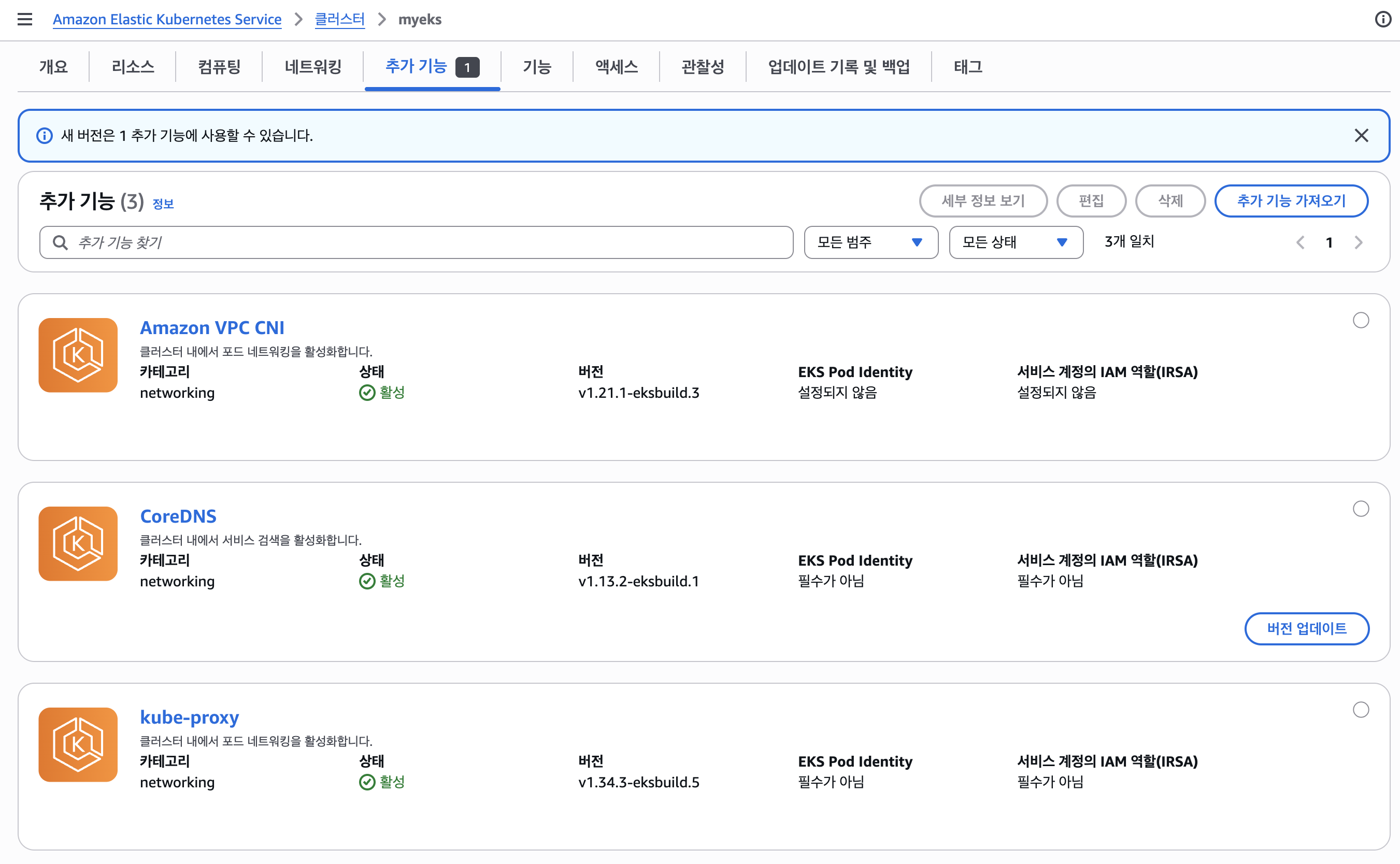 aws-myeks-cluster-addon-console-result