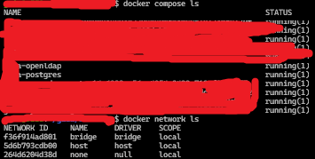 docker-ip-collision-resolved-by-network-mode-host