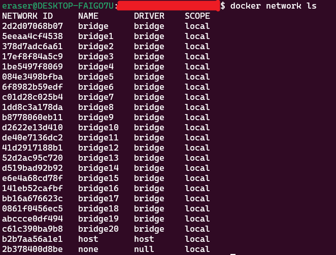 docker-network-after-creating-bridge20