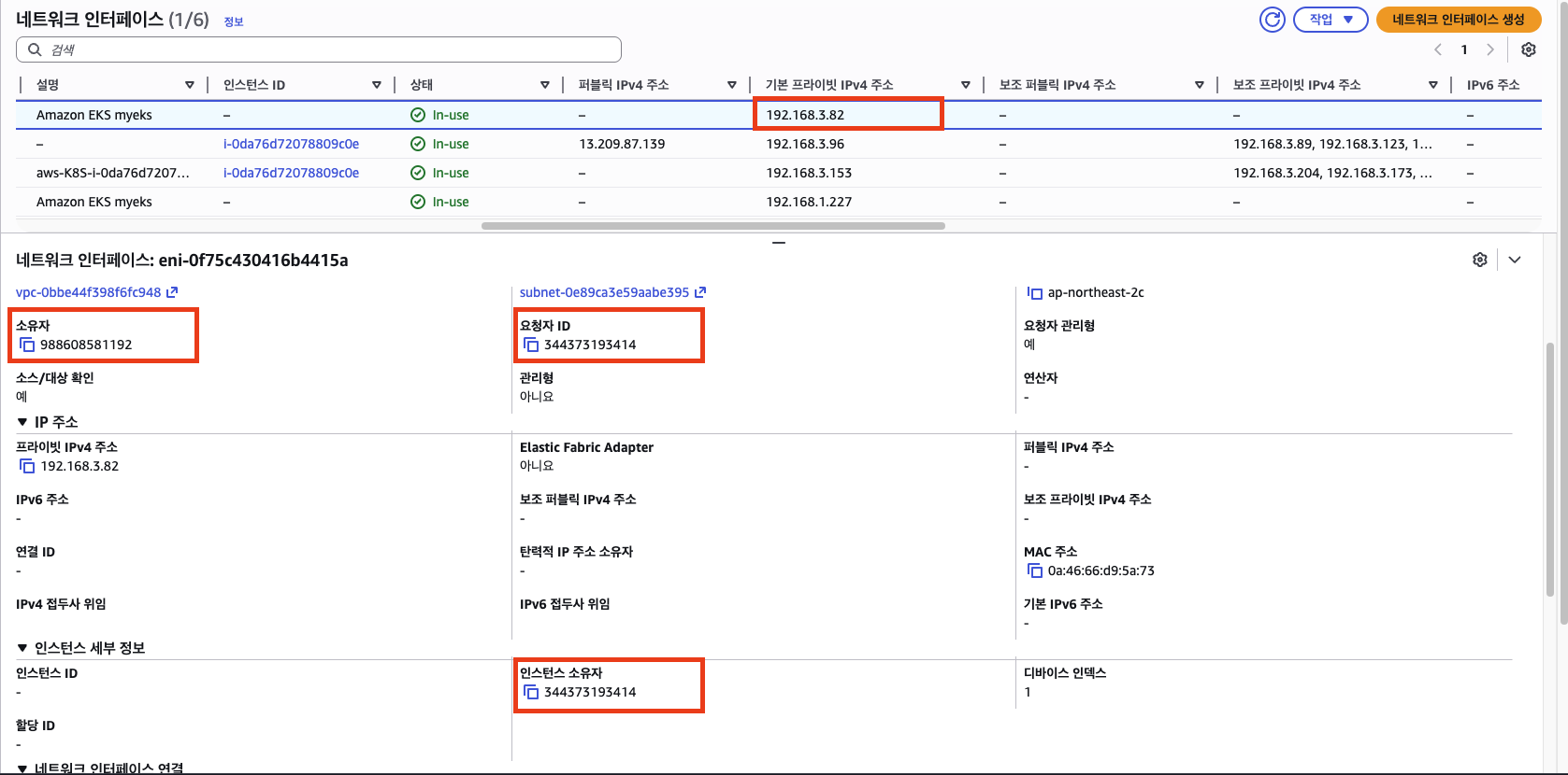 eks-aws-owned-eni-192168382
