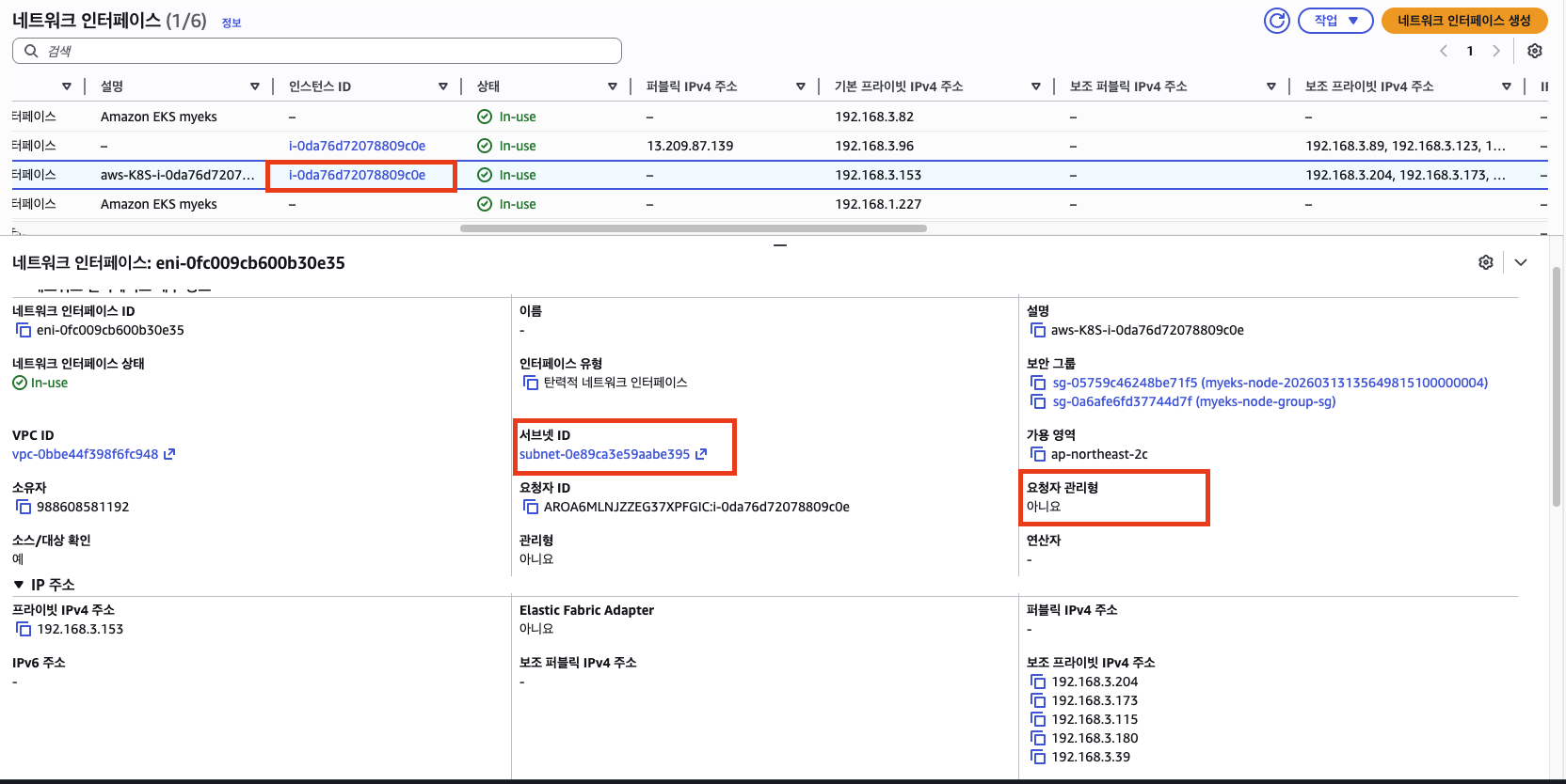 eks-non-aws-owned-eni