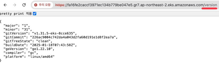 eks-version-endpoint-exposed