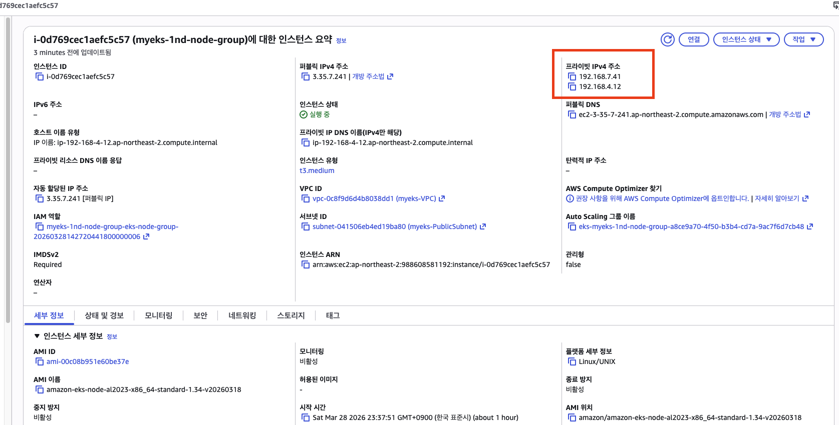 EC2 인스턴스 상세 - 프라이빗 IPv4 주소 2개