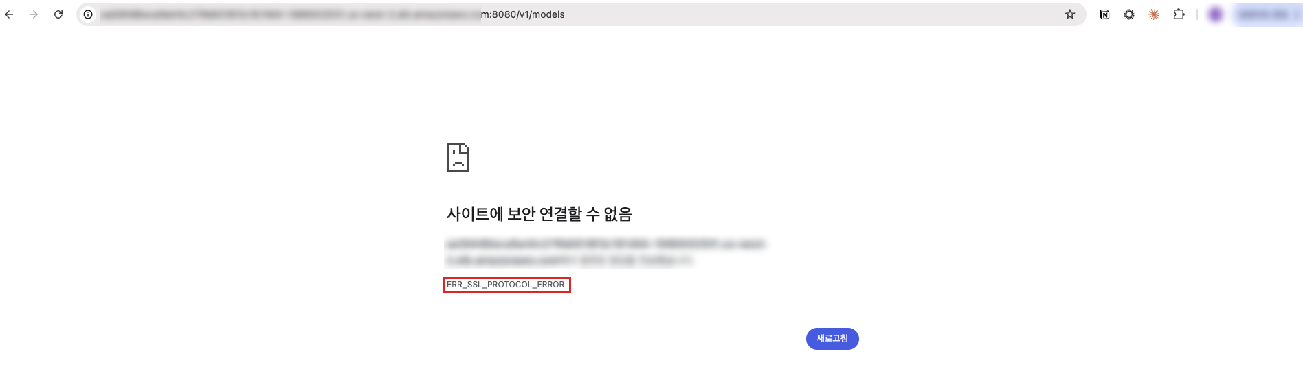 브라우저의 ERR_SSL_PROTOCOL_ERROR 화면