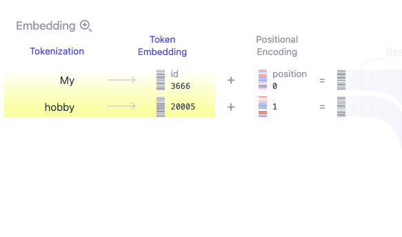 Transformer Explainer의 Embedding 열: My hobby가 두 토큰으로 쪼개져 ID 3666, 20005가 매핑되고 위치 인코딩이 더해지는 모습