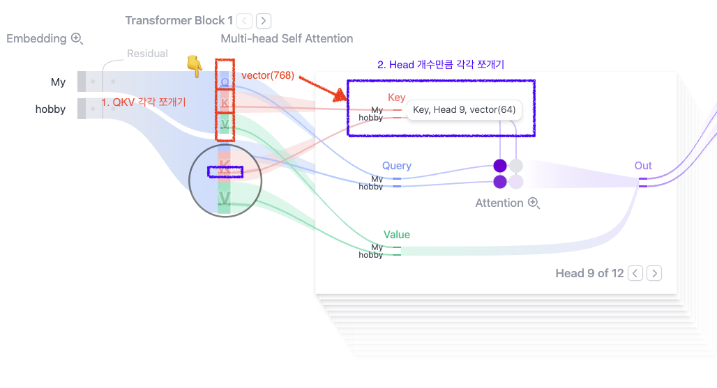 Transformer Explainer에서 두 번의 쪼개기를 표시한 화면 — QKV 각각 쪼개기, Head 개수만큼 각각 쪼개기