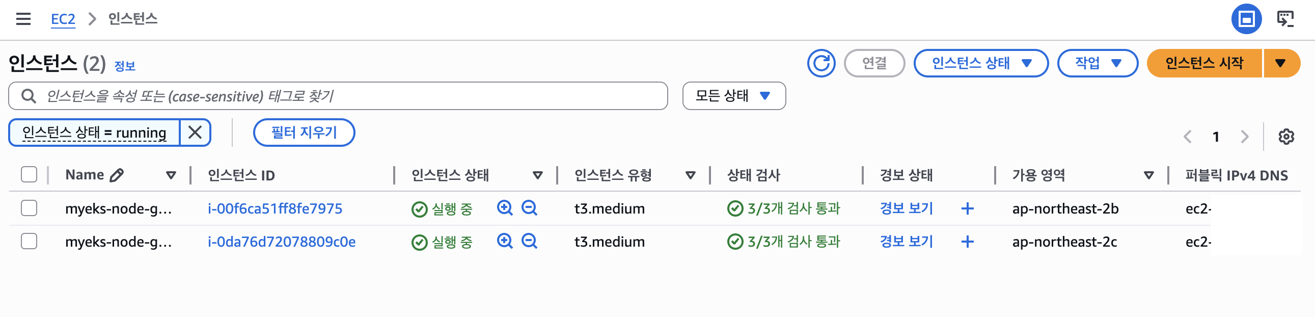 myeks-ec2-instance-running-console-result