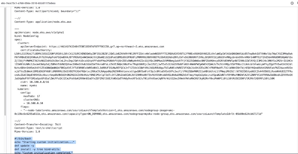 myeks-launch-template-userdata-console