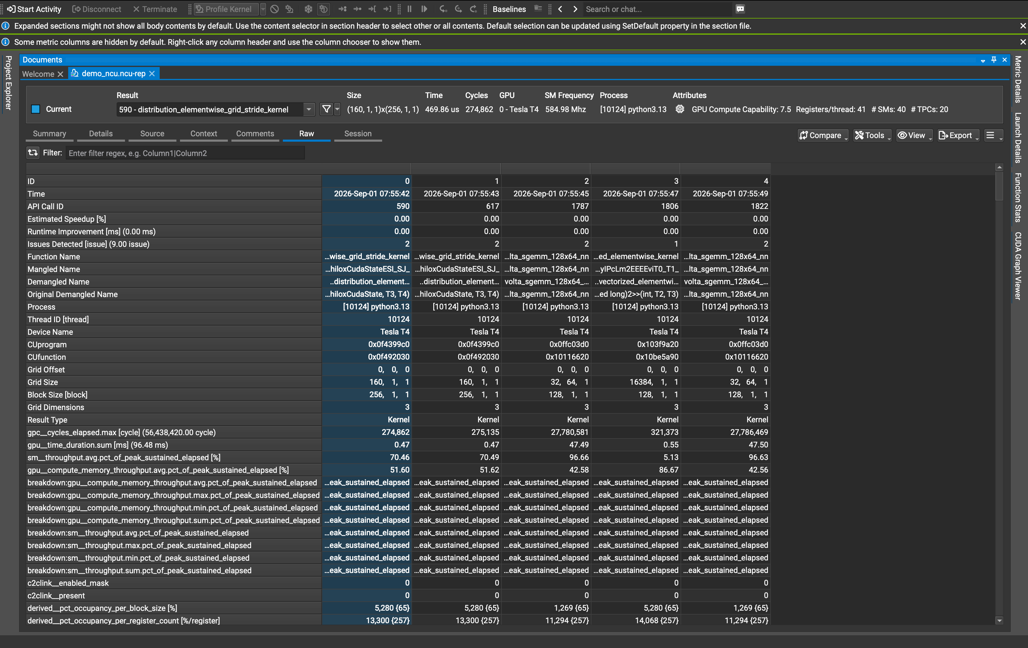 Nsight Compute Raw 탭
