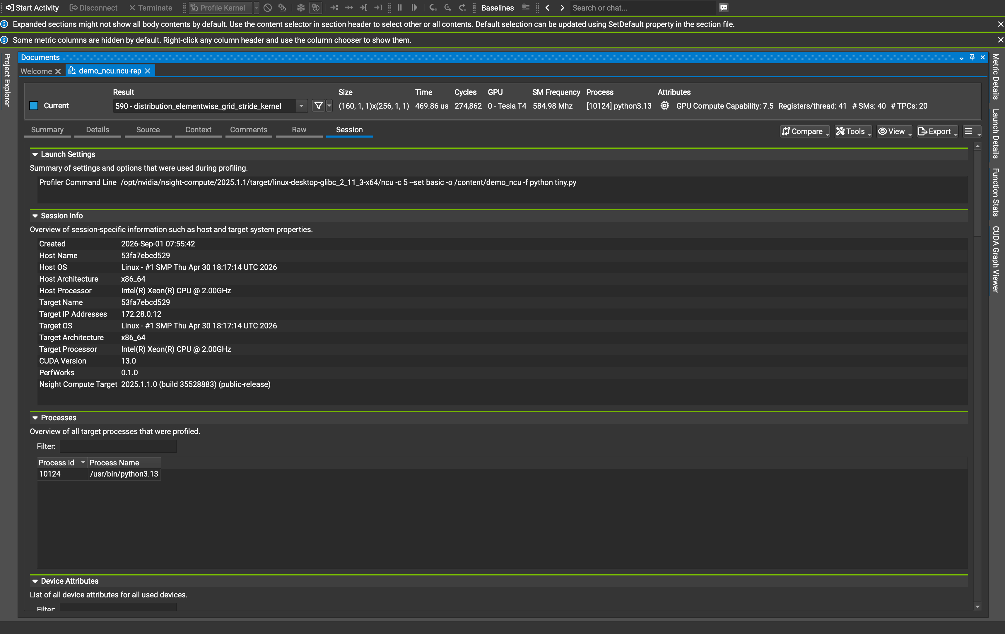 Nsight Compute Session 탭
