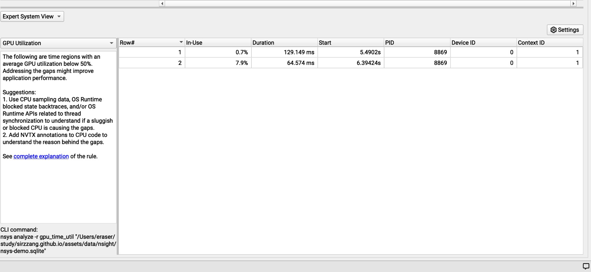 Expert System View