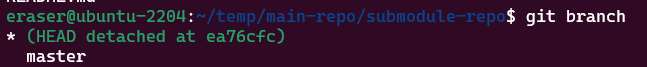 submodule-head-detached