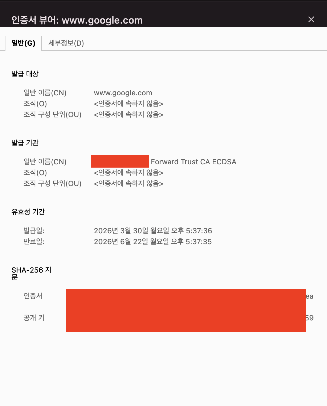 VPN 환경에서 google.com 인증서 — 회사 CA로 재서명되었지만 유효